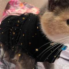 Фото отзыва 10721726