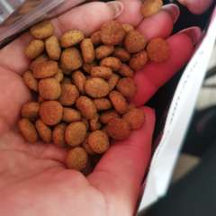 Фото отзыва 11320919