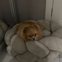 Фото отзыва 11116151