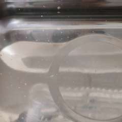 Фото отзыва 10609372