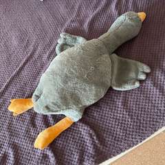 Фото отзыва 5313931