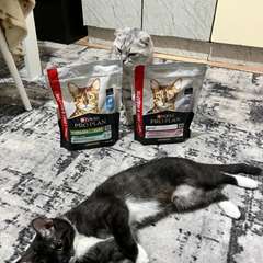 Фото отзыва 10723328