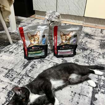 Корм для кошек Pro Plan 400+200г кролик: отзыв пользователя. Зоомагазин Зоозавр