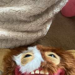 Фото отзыва 10585086