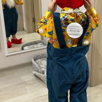 Карнавальный костюм Гном Ярик пуговка: отзыв пользователя Детский Мир