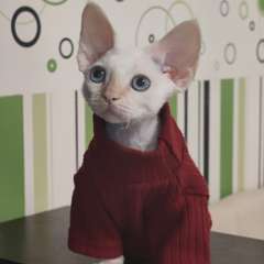 Фото отзыва 11125849