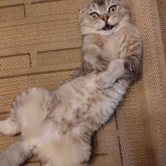 Фото отзыва 10714740