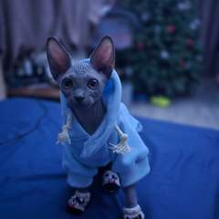 Фото отзыва 11170748