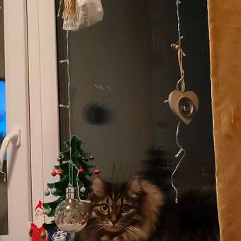 Светодиодная гирлянда Seichi Шторка LED 1.8×1.8 м цвет разноцветный: отзыв пользователя Детский Мир