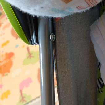 Коляска прогулочная Babyton Zoo Green зеленый: отзыв пользователя Детский Мир