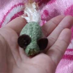 Фото отзыва 11006353