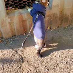 Фото отзыва 10904102