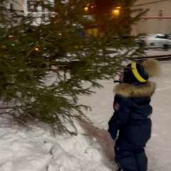 Видео отзыва 8237659