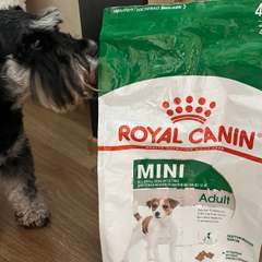 Фото отзыва 10912944