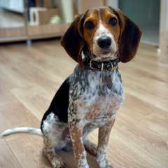 Фото отзыва 10548335