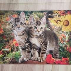 Фото отзыва 10320465