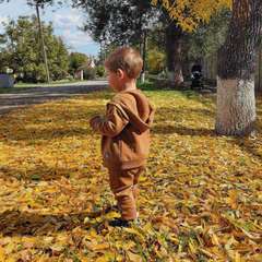 Фото отзыва 10591773