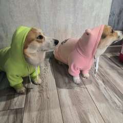 Фото отзыва 10994539