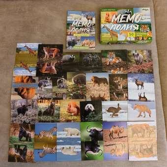 Настольная игра Attivio Мемори Животные: отзыв пользователя ДетМир