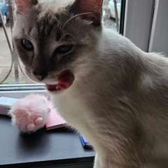 Фото отзыва 10966027