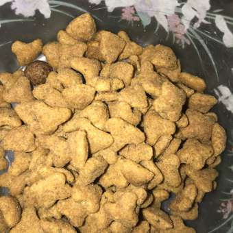 Корм для кошек ROYAL CANIN Sensible 33 взрослых с чувствительной пищеварительной системой сухой 1.2кг: отзыв пользователя. Зоомагазин Зоозавр