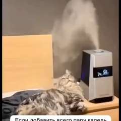 Видео отзыва 8411850