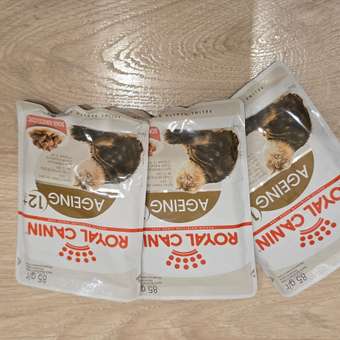 Корм для кошек ROYAL CANIN Ageing 85гр для пожилых 12+ желе пауч: отзыв пользователя. Зоомагазин Зоозавр