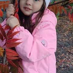 Фото отзыва 11200140