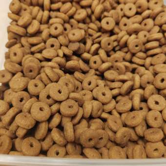 Корм для щенков ROYAL CANIN Starter очень крупных пород 4кг: отзыв пользователя. Зоомагазин Зоозавр