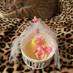 Фото отзыва 10995247