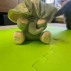 Видео отзыва 10343093