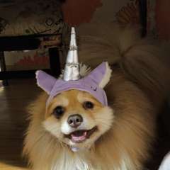 Фото отзыва 10651133