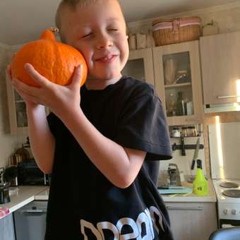 Футболка BH brand: отзыв пользователя Детский Мир