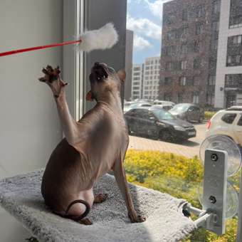 Игрушка для кошек Barbaks Дразнилка мини с белым пушистым наконечником: отзыв пользователя. Зоомагазин Зоозавр