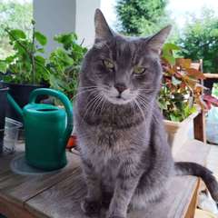 Фото отзыва 11729614