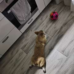 Фото отзыва 11035522