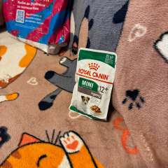 Фото отзыва 10466373