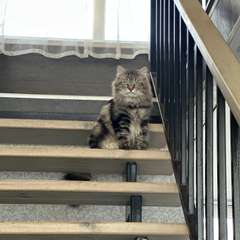 Фото отзыва 10713506