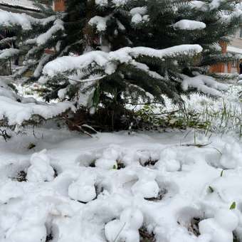 Снежколеп Kreiss: отзыв пользователя Детский Мир