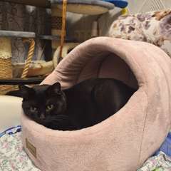 Фото отзыва 8850782