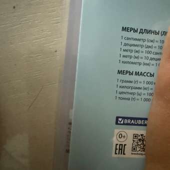 Тетрадь Brauberg клетка 18 лист. 20 шт.: отзыв пользователя Детский Мир
