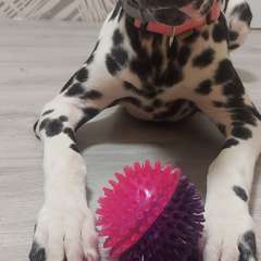 Фото отзыва 10572203