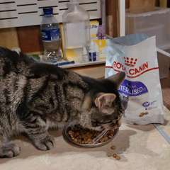 Видео отзыва 10495451