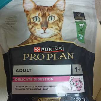 Корм сухой для кошек PRO PLAN DELICATE DIGESTION 400г с ягненком: отзыв пользователя. Зоомагазин Зоозавр