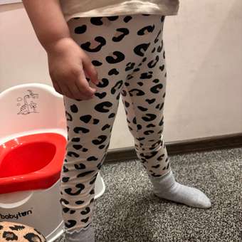 Леггинсы 3 шт BeeBoo: отзыв пользователя Детский Мир