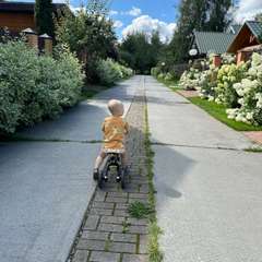 Фото отзыва 10444865