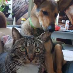 Фото отзыва 10918811