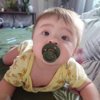 Пустышка BIBS латекс классическая от 6 мес.: отзыв пользователя Детский Мир