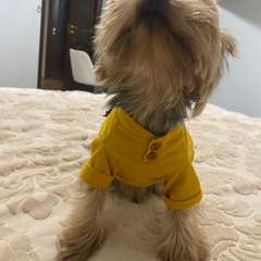 Фото отзыва 10831930