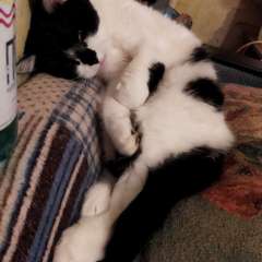 Фото отзыва 10757605